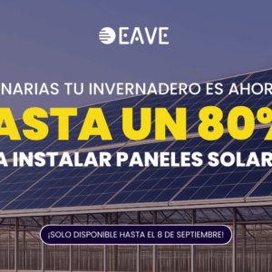 Subvención en Canarias para marquesinas solares en invernaderos: una oportunidad para el futuro agrícola